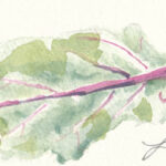 Beet Leaf, watercolor on paper, 2008