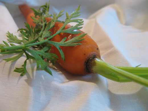 carrot with piece on top