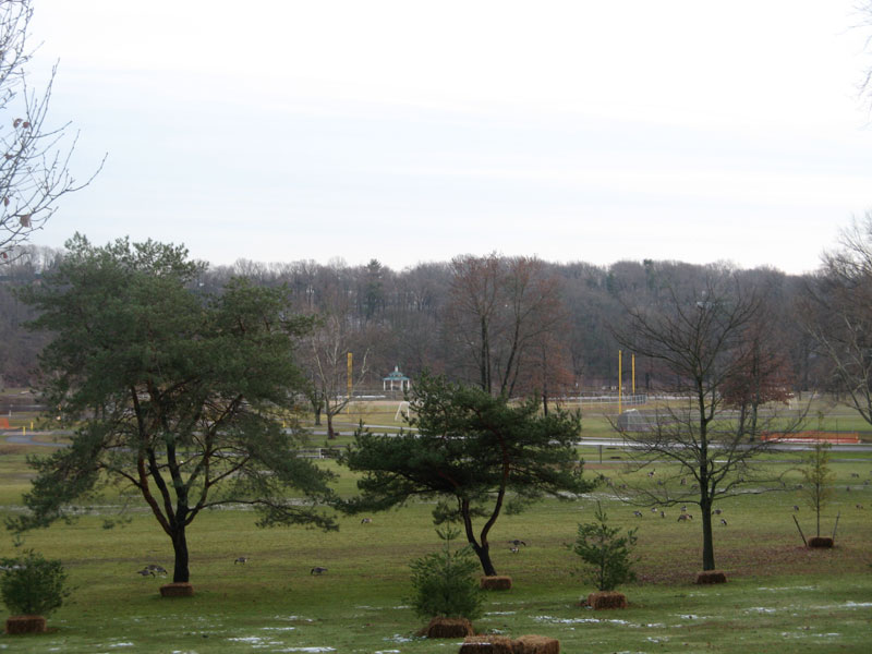 donaldson_dec17 donaldson_dec17