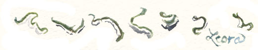 seaweed Mekabu: Tiny Sea Vegetable to Sprinkle in Your Food, watercolor by Leora