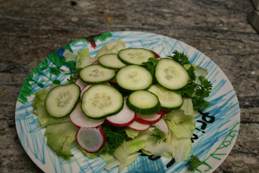 Pressed Salad: cucumbers, radishes, kale, lettuce