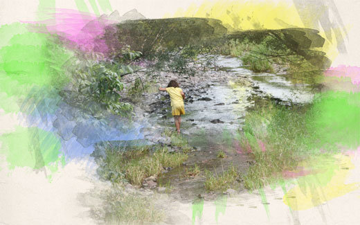 Creek Walk with Colors, Photo taken in August 2009 at Howell Farm, New Jersey