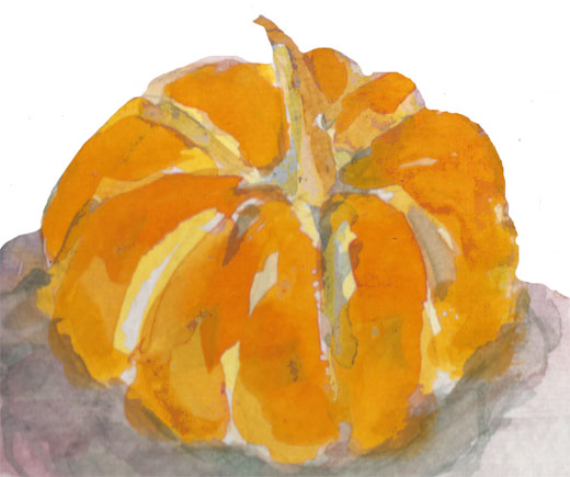 Pumpkin, detail from watercolor painting of Three Squash, 2009