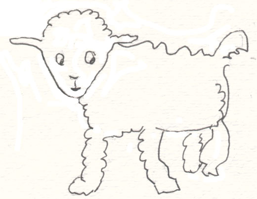 sheep