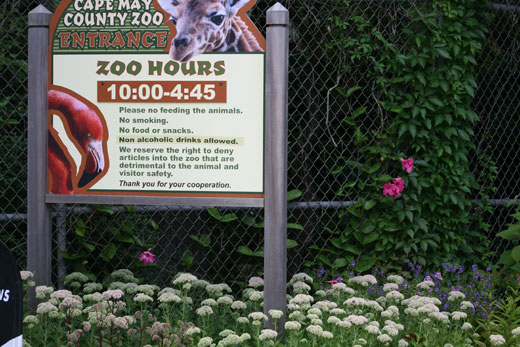 Cape May Zoo Hours