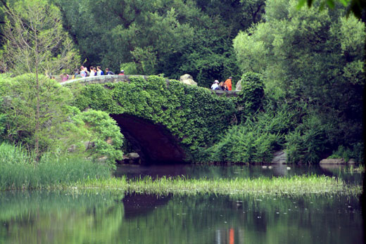 bridge in Central Park
