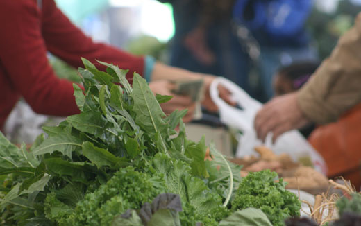 lettuce at the market