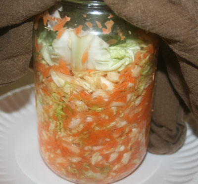 fermented cabbage