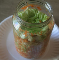 coleslaw sauerkraut