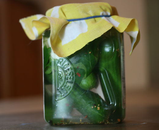 pickles in a container fermenting