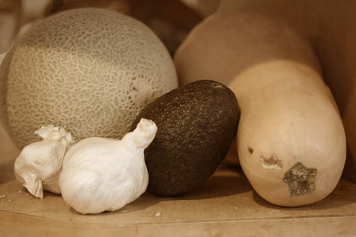 sepia of garlic, cantalope, squash, avocado