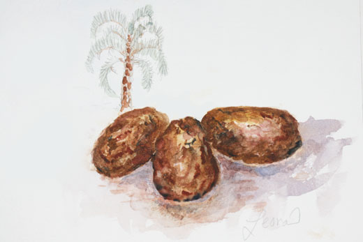 dates in front of palm tree, watercolor on paper