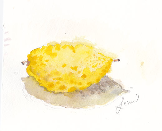 etrog watercolor