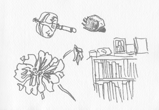 dreidel bookcase flower