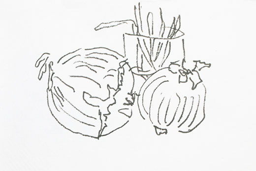 onions drawn in pen