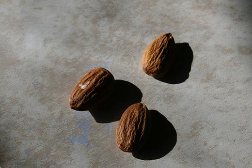 three almonds