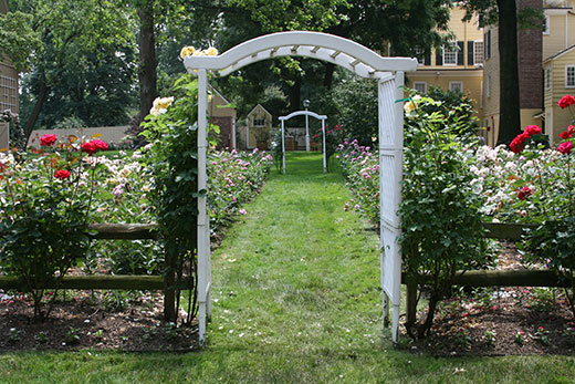 rose garden at liberty hall museum