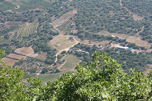 View from top of Mount Meiron Israel