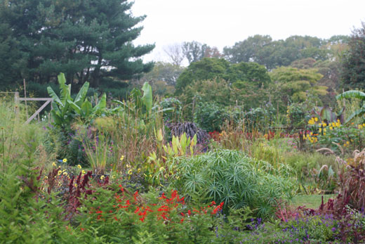 Rutgers Gardens In October Leora Wenger