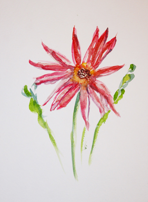 flower in watercolor gerber daisy