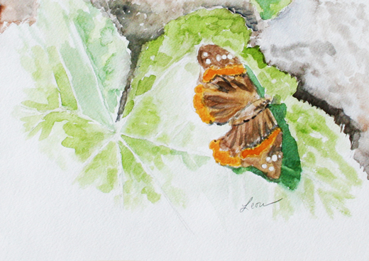 Red Admiral Butterfly on a Leaf, watercolor painting by Leora Wenger