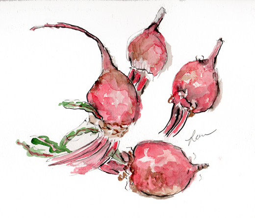 beets watercolor by Leora Wenger