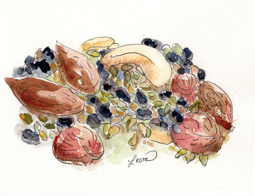 Nuts, Raisins and Sunflower Seeds, watercolor and ink pen by Leora Wenger, 2014