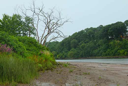 Raritan River near Donaldson Park