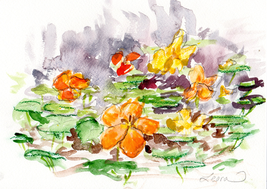 flowers watercolor exercise of nasturtium