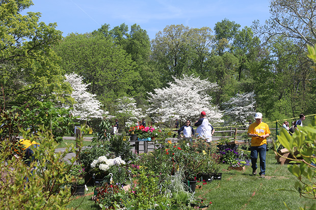 Rutgers Plant Sale - Rutgers Gardens