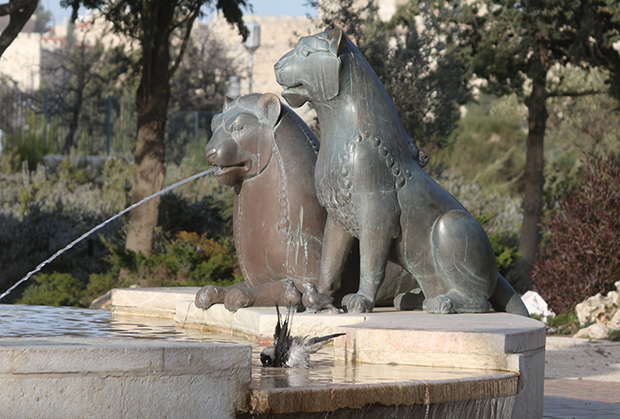 Jerusalem lions fountain bird diving in