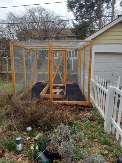 garden structure March 2022