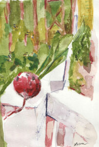 radish watercolor on white fence in front of garden structure