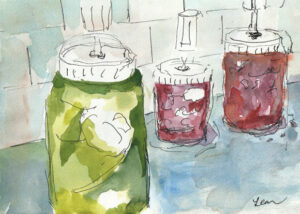 ferments in my kitchen