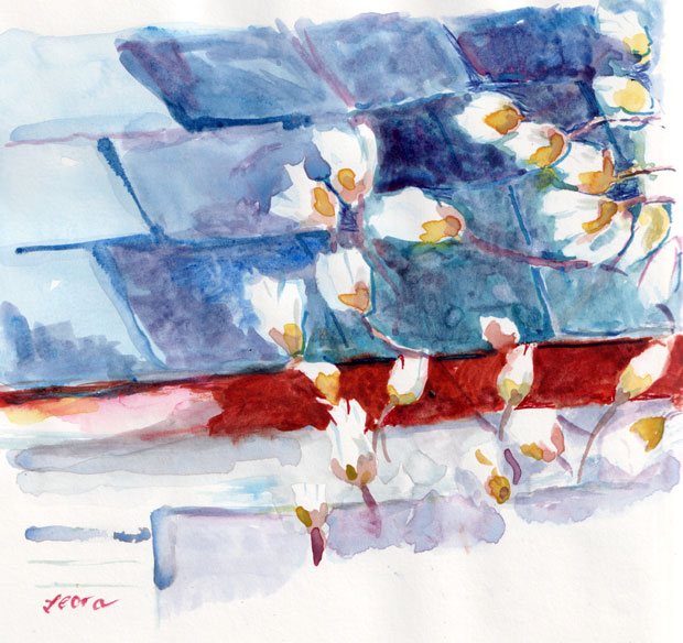Magnolia Buds on a Roof, watercolor on paper