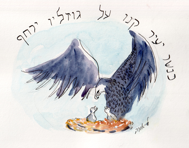 illustration of Like an eagle who rouses its nestlings,
Gliding down to its young
Ha’Azinu 32:11