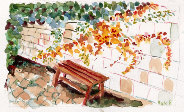 bench in Jerusalem with colorful ivy