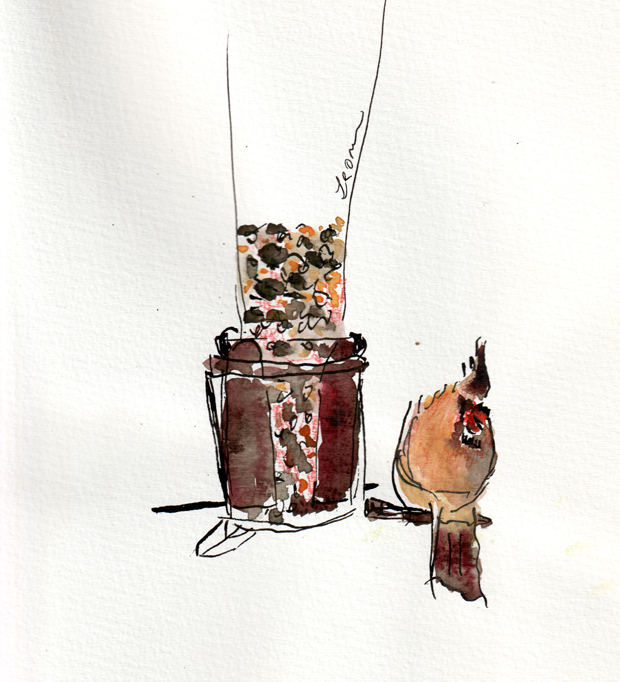 A female cardinal visited the bird feeder, watercolor, ink, and colored pencil on paper.