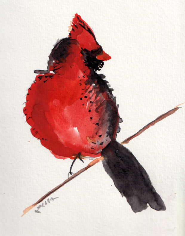 red cardinal