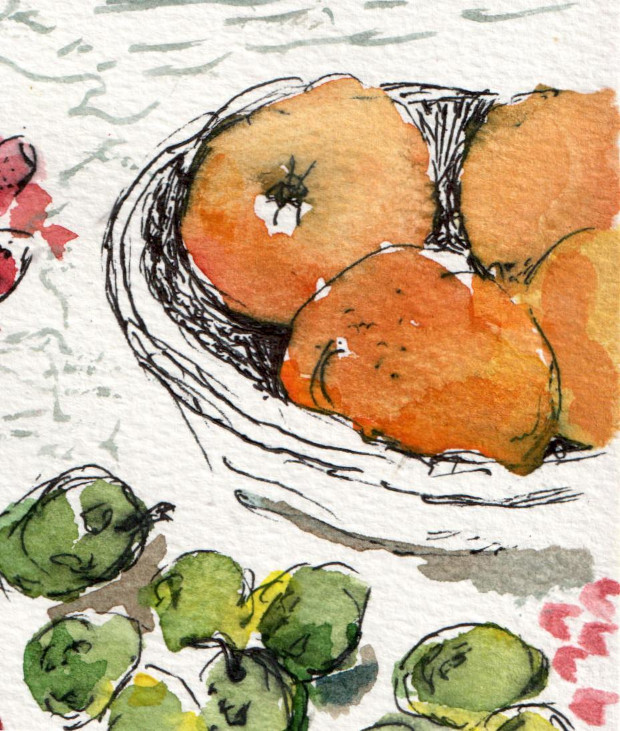 clementines, watercolor and ink