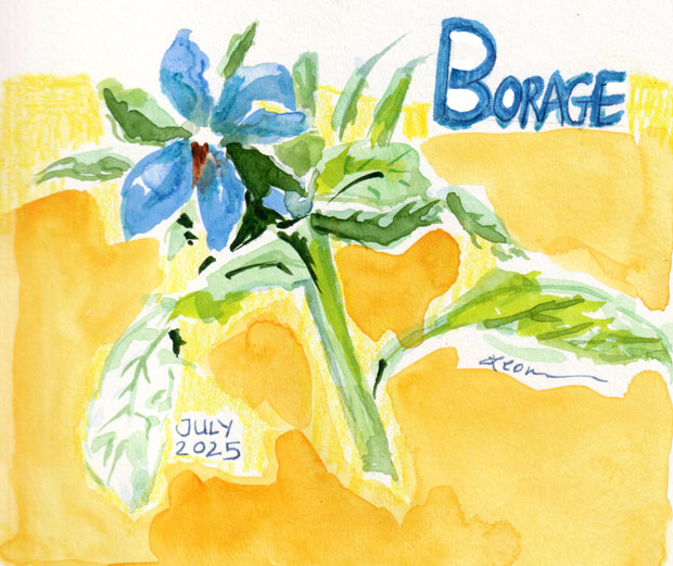 borage in yellow color block