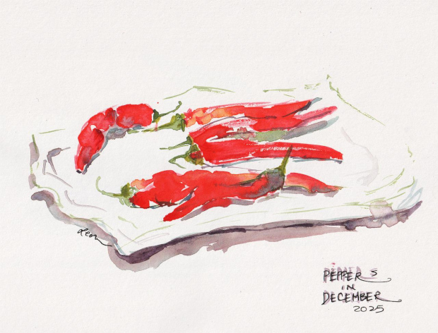 cayenne peppers in December