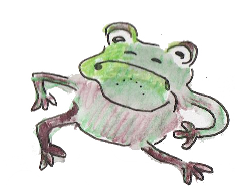 frog illustration, watercolor pencil and ink