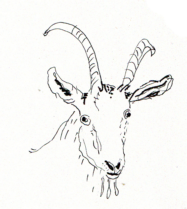 Goat. Ink.
