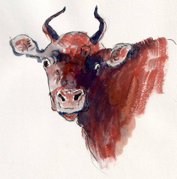 red cow, gouache