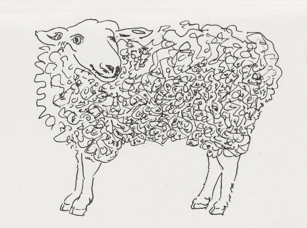 Sheep. Ink drawing. Inspired by Cotswold UK sheep.