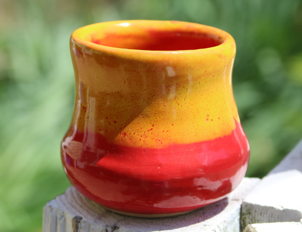 red and yellow pot, photographed in a green backyard