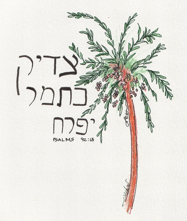 The righteous will flourish like a date palm. Psalms 92:18. Watercolor, ink, and colored pencil.