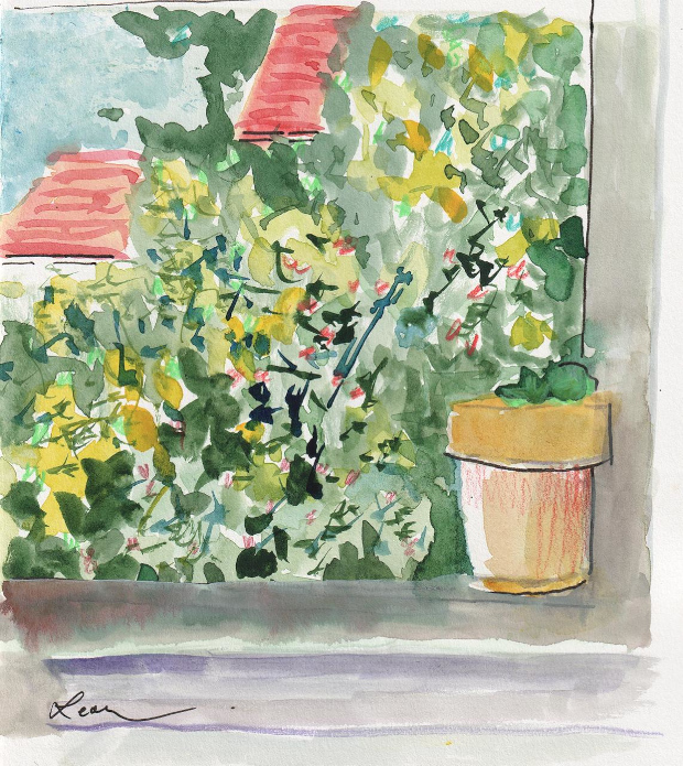 Plant in the window. Watercolor, gouache, colored pencil, and ink.