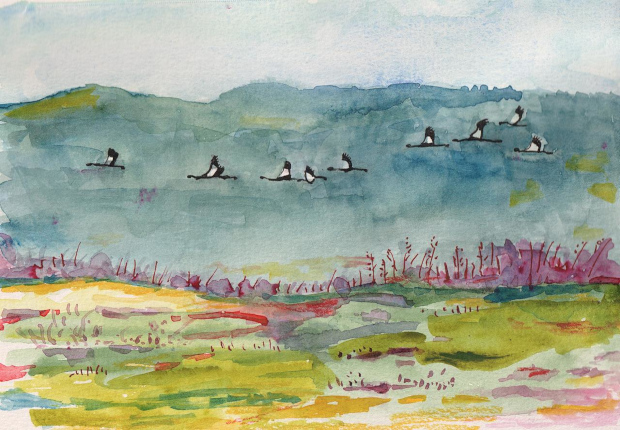 Cranes flying over Hula Valley. Watercolor and ink.
